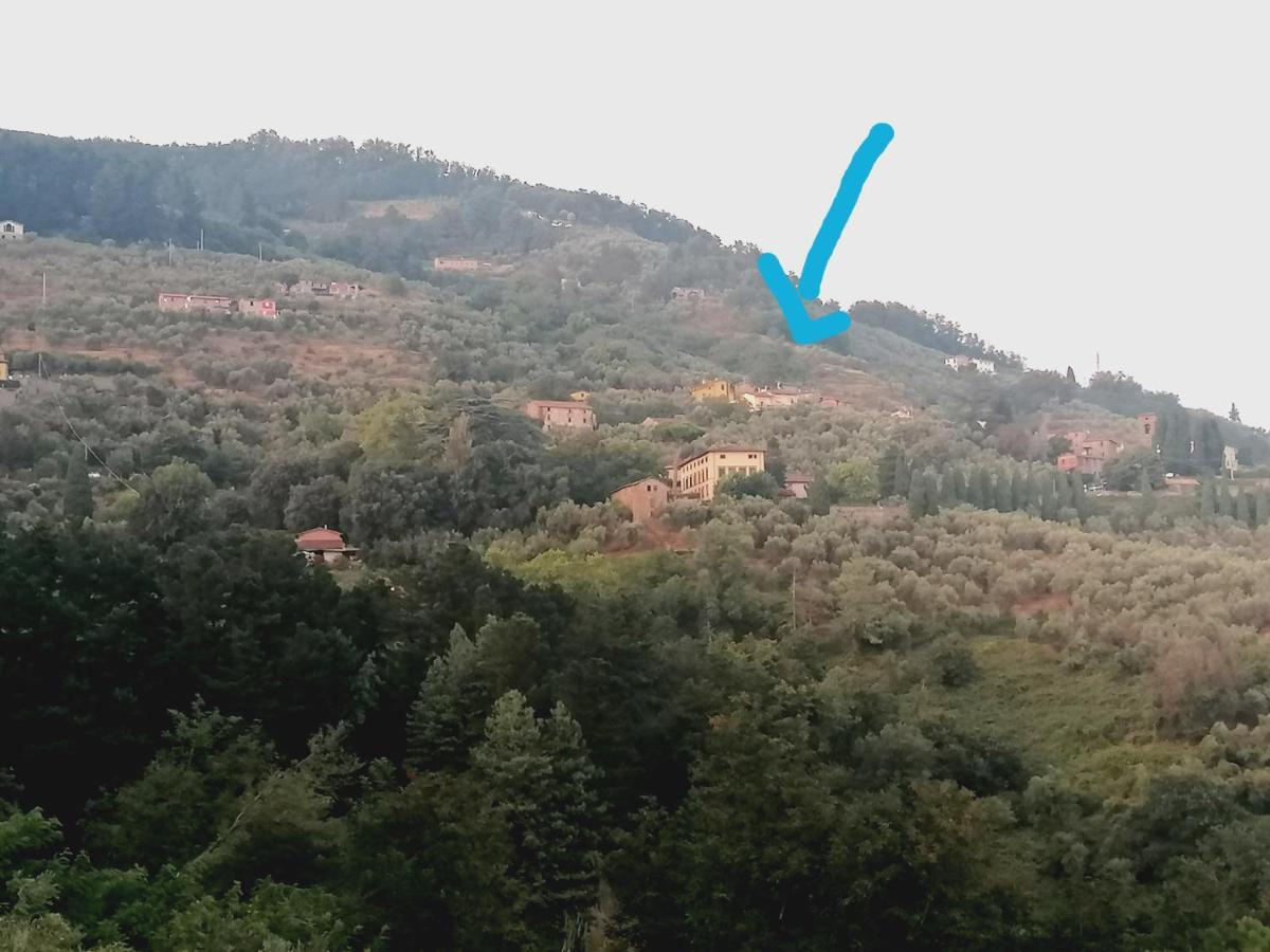 Casa Teresina Villa Collodi Eksteriør billede
