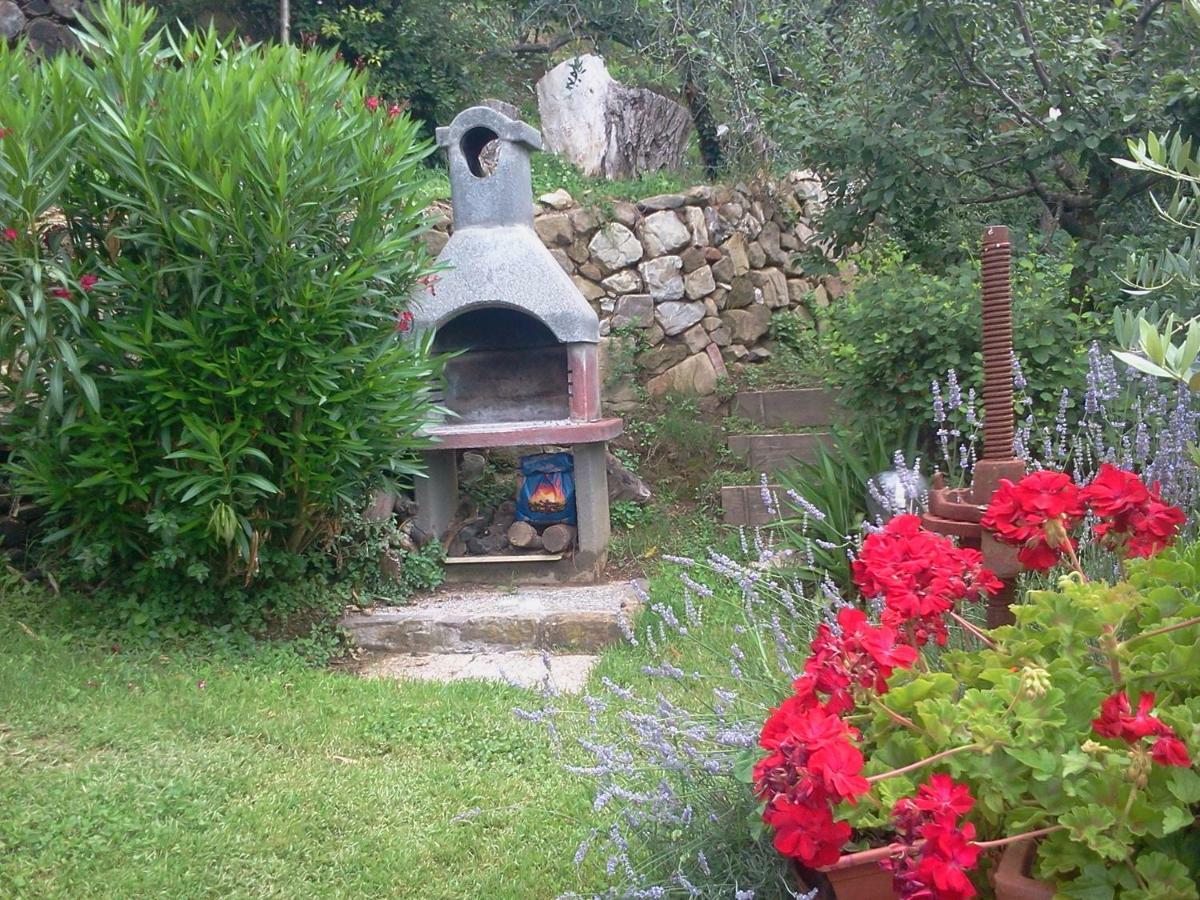 Casa Teresina Villa Collodi Eksteriør billede